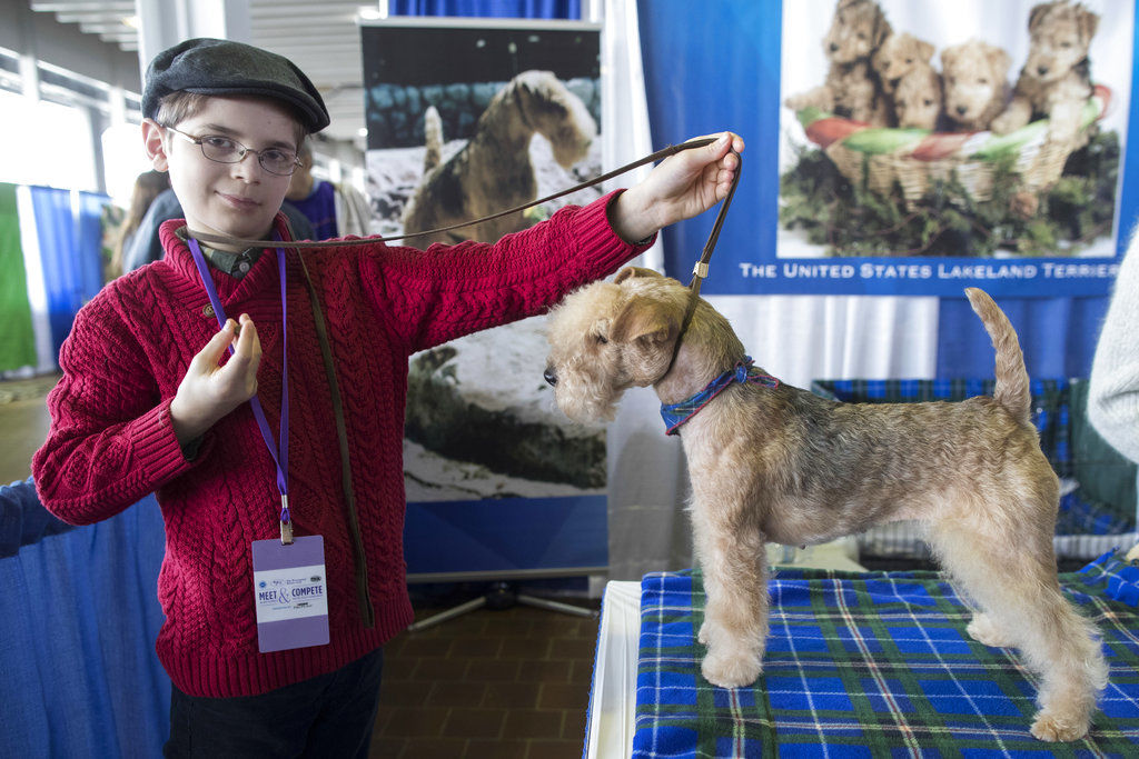 Westminster Dog Show Young Handlers